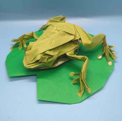 frog.jpeg